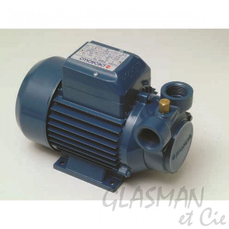 Pedrollo Elektropumpe 1 KW - Robust & Leistungsstark Für Haus & Garten