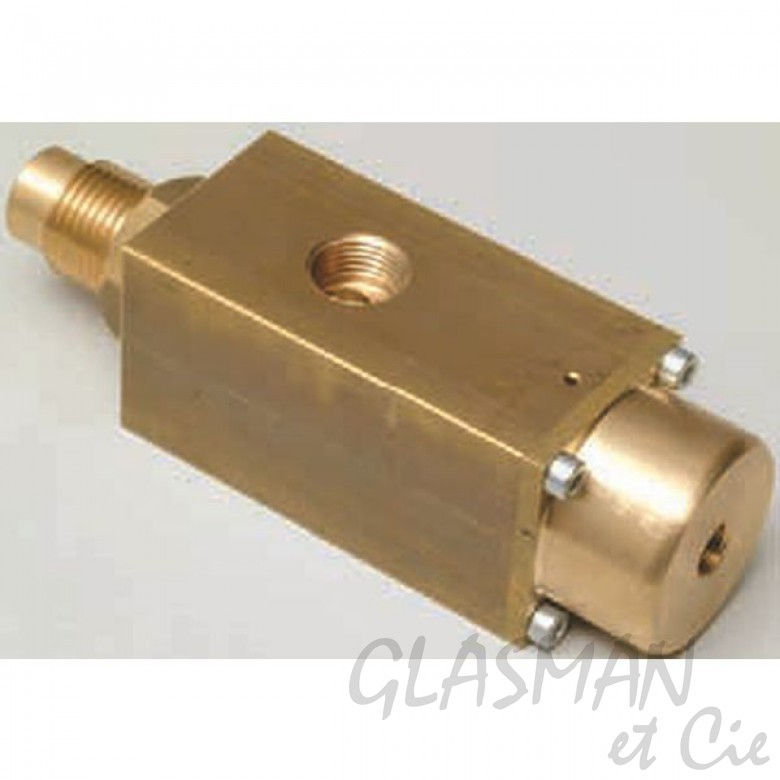 Vanne vapeur pneumatique pour camptel rotor (1 voie)